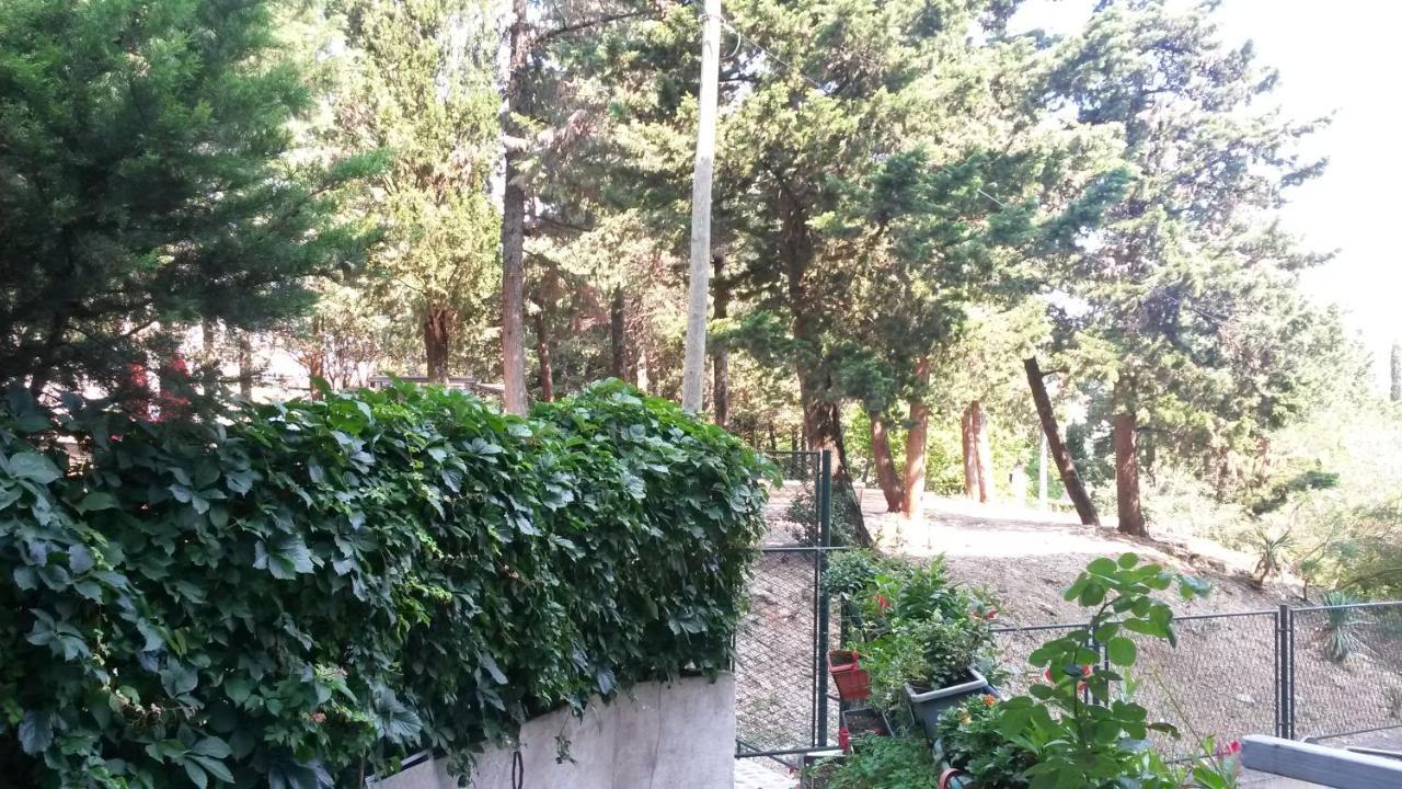 Anamarija Apartman Dubrovnik Dış mekan fotoğraf