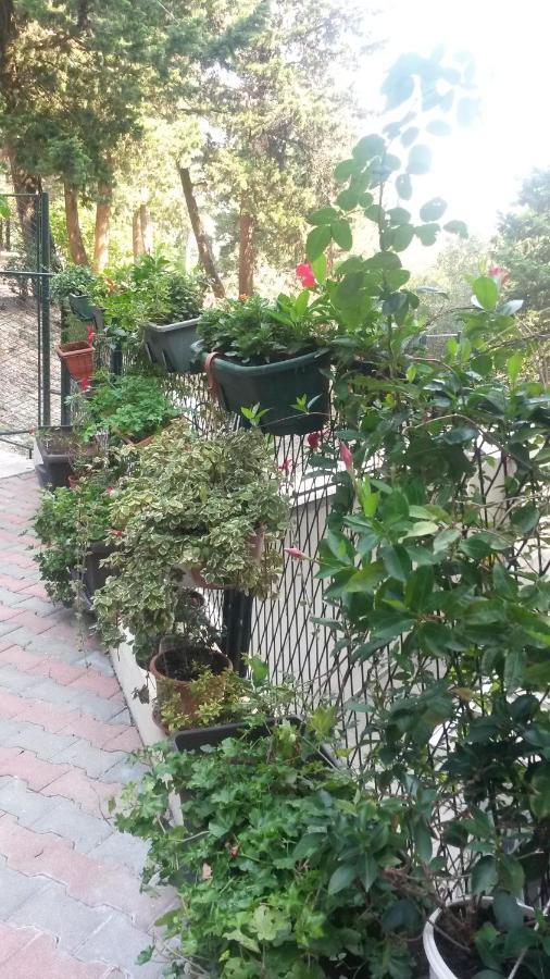 Anamarija Apartman Dubrovnik Dış mekan fotoğraf